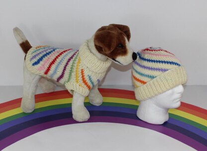 Chunky Swirl Stripe Dog Coat & Matching Beanie Hat