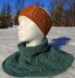 Hepatica Cowl I and Headband