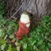 Froggy's Overalls (Tapered)