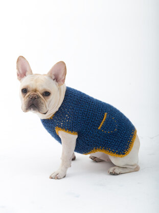 Casual Friday Dog Sweater in Lion Brand Heartland - L32352