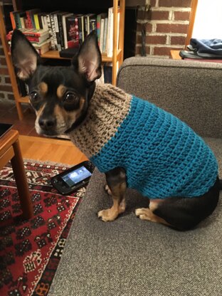 dog sweater 1
