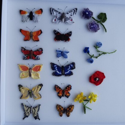 A flight of butterflies