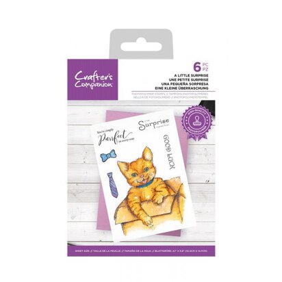 Crafters Companion Photopolymer Stamp - A Little Surprise