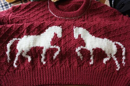 Running Horses Pullover