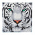 Crystal Art White Tiger, 30x30cm  Diamond Painting Kit