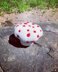 Bleeding Tooth Mushroom Plush