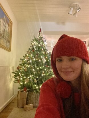 Red Christmas Hat