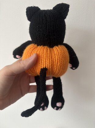 Pumpkin kitty