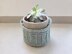 Lobelia Plant Holder Basket