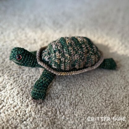 Tilly the Turtle