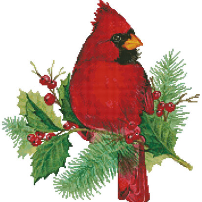 Cardinal and Holly