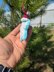 Christmas Star English_US