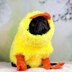 Doggie Diva Duckling Costume