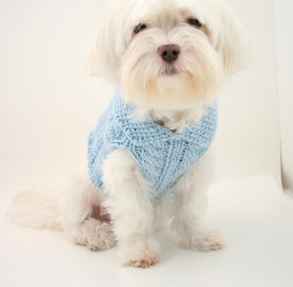 P06 Cabled Dog Sweater