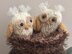 Owlets in the old oak tree