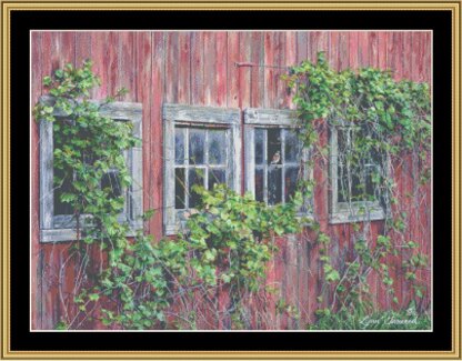 BARN WINDOWS