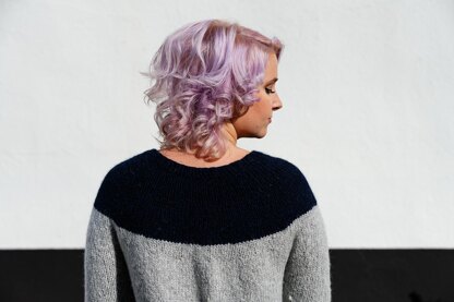 Basic Colorblock Yoke sweater