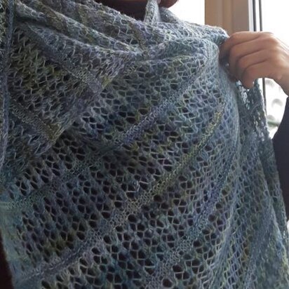 ANOUSHKA SHAWL