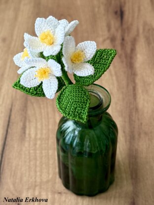 Jasmine