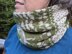 Canadian Wild Cowl