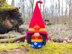 Wonder gnome