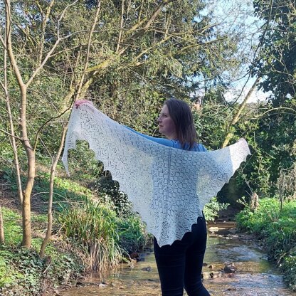 Mystery forest shawl