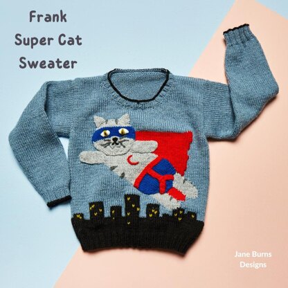 Frank Super Hero Cat Sweater