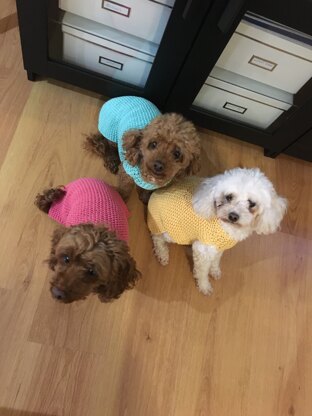 Doggie jumpers