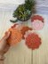 Sweet Soleil Coasters