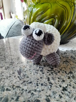 Shaina the Sheep