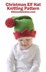 Christmas Elf Hat