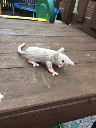 Raymond the Rat