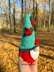 Christmas gnome in green hat