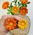 Calendula