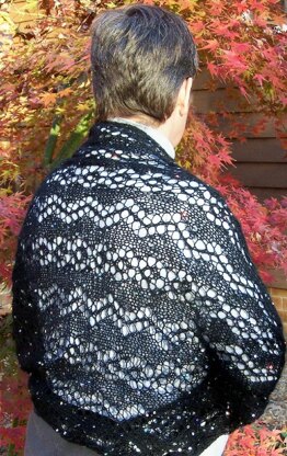 Sequined Spectacular shrug/shawl