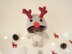 Reggie the Reindeer Doll