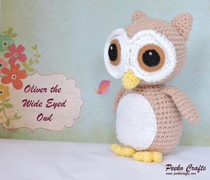 Oliver the Wide Eyed Owl