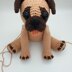 Perry the Pug - US Terminology - Amigurumi