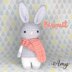 Biscuit the bunny