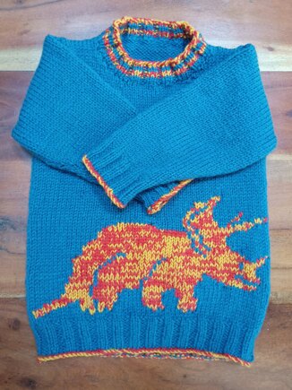Triceratops Jumper #3