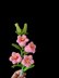 Crochet Canterbury bells flowers