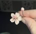 Cherry blossom branch