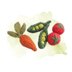 Fruit & Vegetables