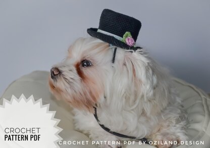Wedding top hat for dog