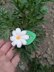 Daisy Deco hair Clip