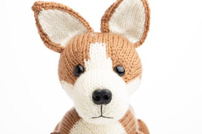 Deramores Pembroke Welsh Corgi PDF
