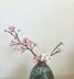Cherry blossom branch