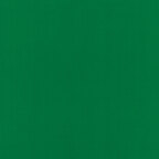 Leprechaun (371)