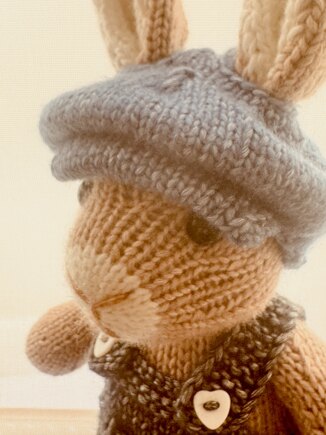 Outfits Only for Elderberry Bunny #9