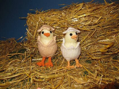 Cheeky Chicks In Shell Suits